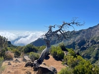 From Funchal, Transfer to Pico do Arieiro & Pico Ruivo Trail - Housity