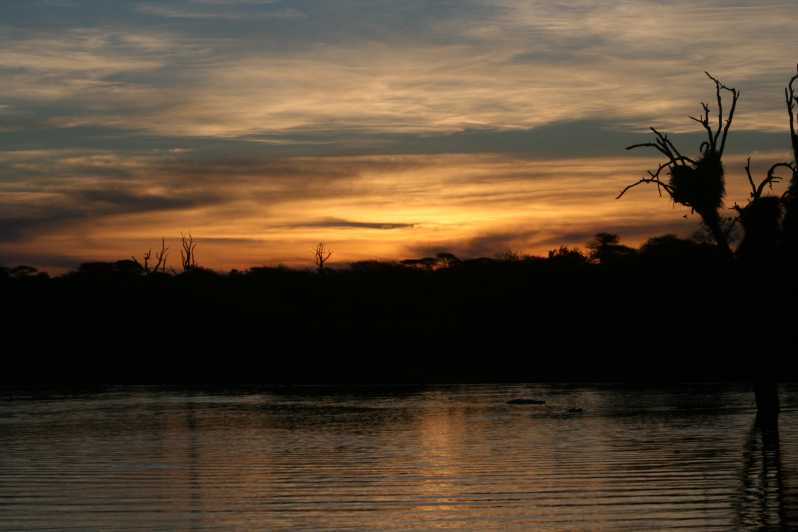 HozyView: Kruger National Park Sunset Safari