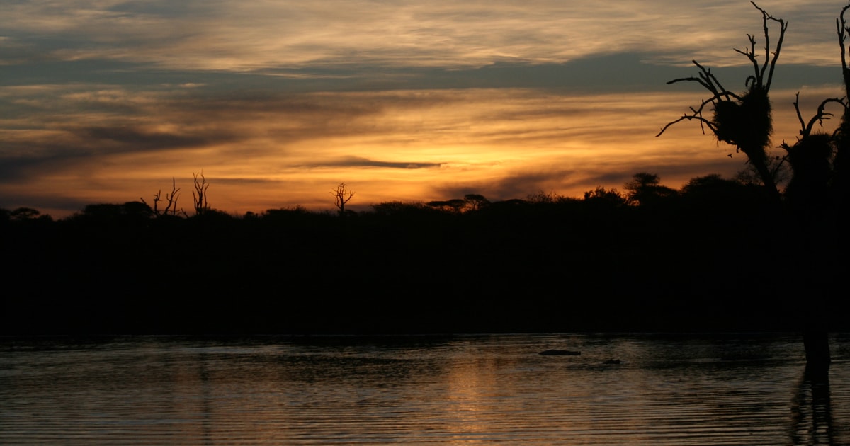 Hazyview Safari Au Coucher Du Soleil Dans Le Parc National Kruger