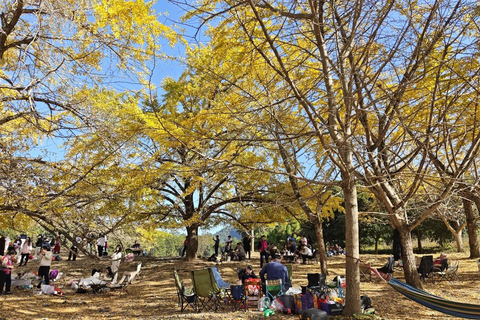 Guilin: Private Ginkgo Village and DaXu Ancient Town Tour