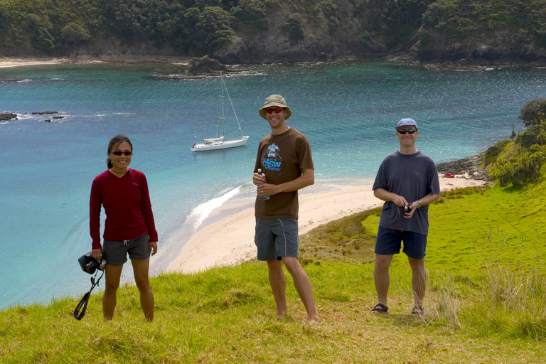 Bay of Islands: Awesome Day Sailing Tour with Island Stop