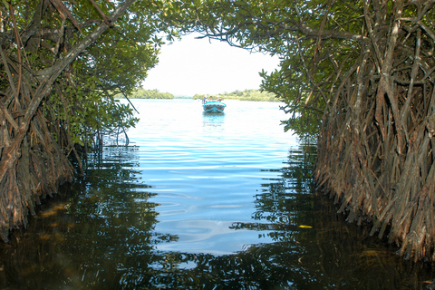 Bentota Water Sports and Galle City Tour from Colombo