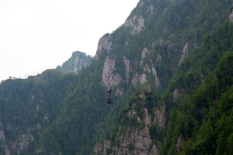 Boekarest: Kasteel van Dracula, 'Woensdag'-kasteel en BrasovMinibusreis