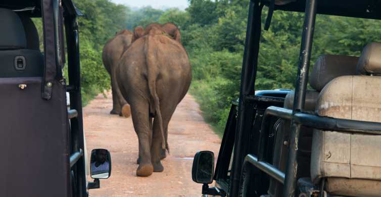 Safari v národnom parku Wilpattu z Negomba