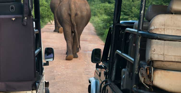 Safari v národnom parku Wilpattu z Negomba