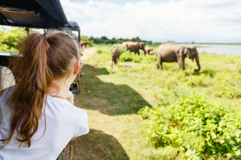 From Negombo: Udawalawa National Park Wildlife Safari