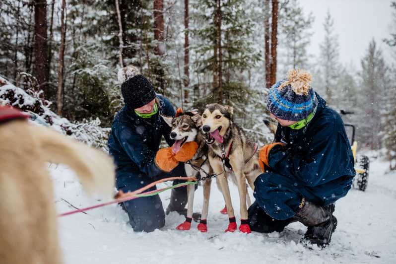 Rovaniemi: Weatherproof Self-Driven Husky Tour with Snacks