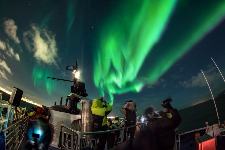 Desde Reikiavik: paseo en barco por las ballenas y la aurora boreal