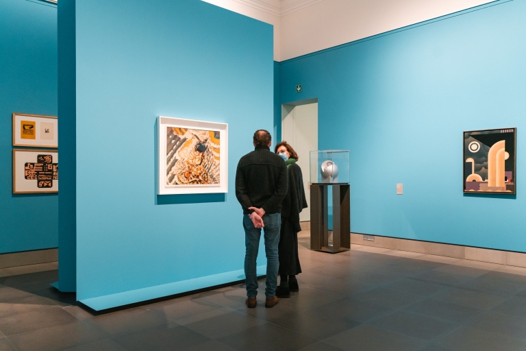 Gent: Museum der Schönen Künste Eintrittskarte