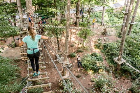 Rope Park Interlaken: avventura di arrampicata con biglietto d&#039;ingresso