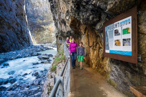 Grindelwald: Glacier Canyon Entrance Ticket