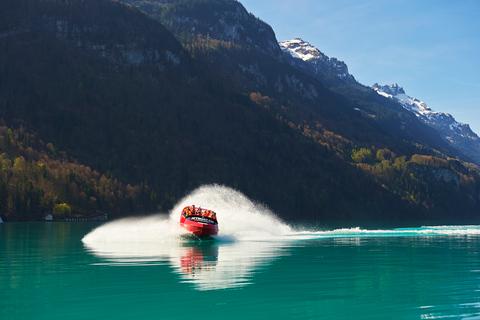 Interlaken: Passeio panorâmico de jetboat no Lago BrienzInterlaken: passeio panorâmico de jetboat no lago Brienz