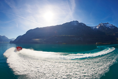 Interlaken: Scenic Jetboat Ride on Lake Brienz