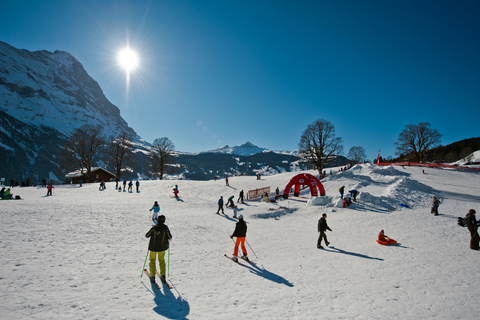 Grindelwald: Sledding at Bodmi Arena