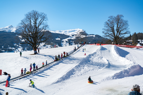 Grindelwald: Sledding at Bodmi Arena