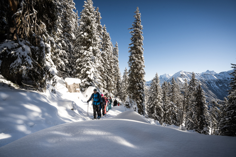 Interlaken: Winter Alpine Adventure - Snowshoe and Sledding