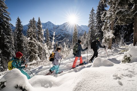 Interlaken: Winter Alpine Adventure - Racchette da neve e slittino