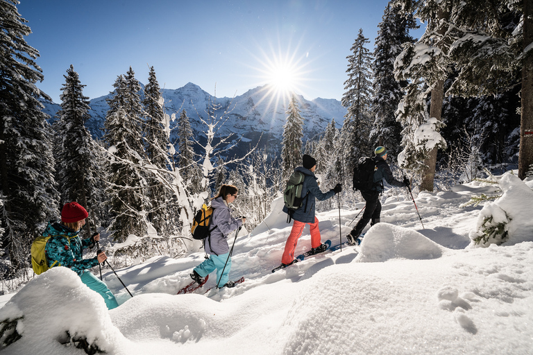 Interlaken: aventura alpina de inverno - raquetes de neve e trenó