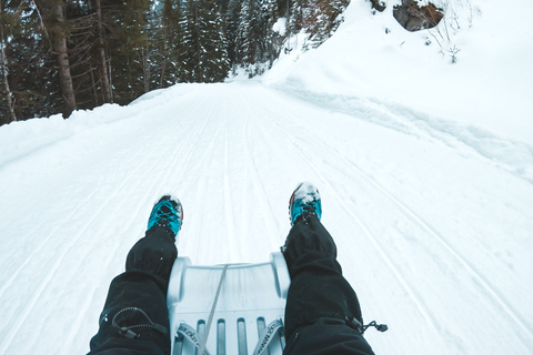 Interlaken: Winter Alpine Adventure - Sneeuwschoenwandelen en sleeën