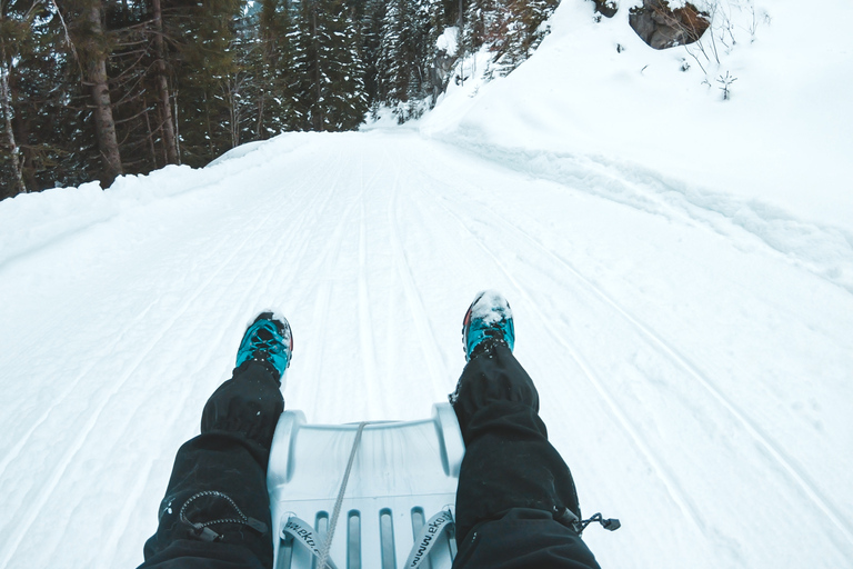 Interlaken: Winterabenteuer - Schneeschuhwandern &amp; Schlitten