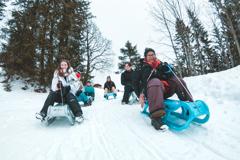 Interlaken: Winter Alpine Adventure - Racchette da neve e slittino