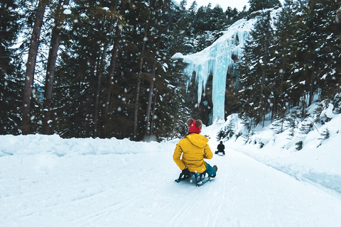 Interlaken: Winter Alpine Adventure - Racchette da neve e slittino