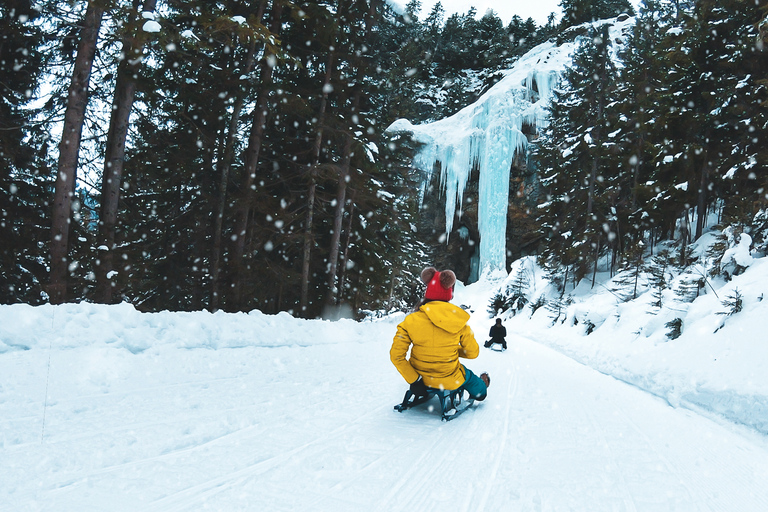 Interlaken: zimowa przygoda alpejska — jazda na rakietach śnieżnych i sankach