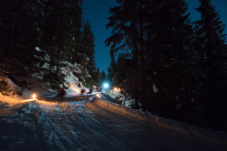 Ab Interlaken: Nachtschlittenfahrt mit Schweizer Käsefondue