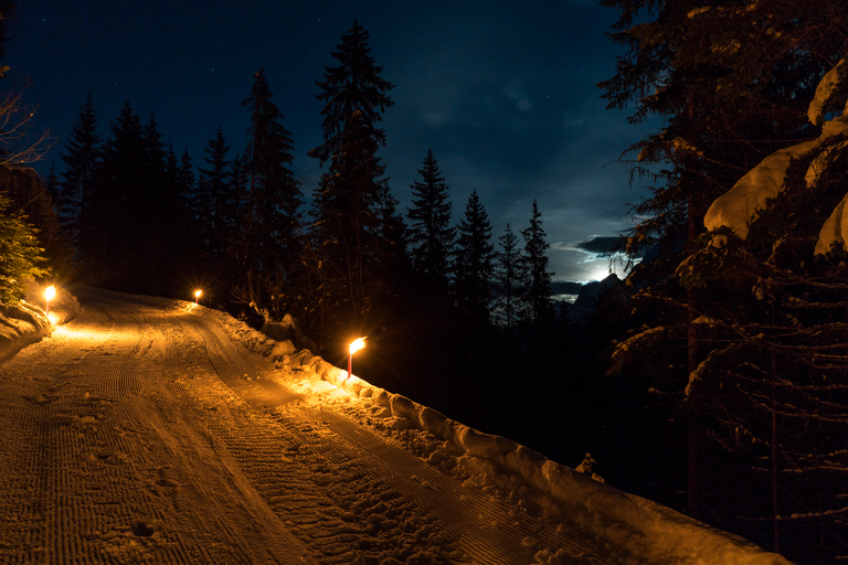 Au départ d&#039;Interlaken : Luge de nuit avec dîner de fondue au fromage