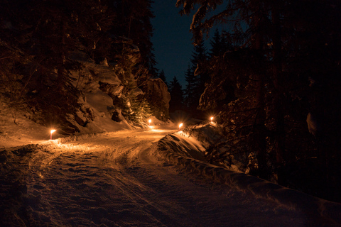 Au départ d&#039;Interlaken : Luge de nuit avec dîner de fondue au fromage