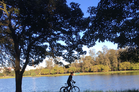 São Paulo: cykeltur med gatukonst