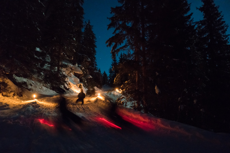 Au départ d&#039;Interlaken : Luge de nuit avec dîner de fondue au fromage