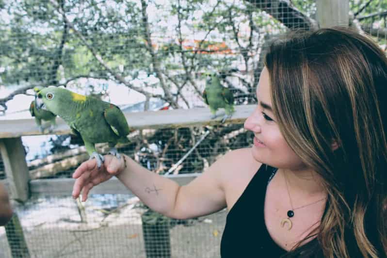 Monkeys and Sloths Hangout plus Island Tour in Roatan | GetYourGuide