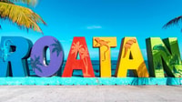 Roatan, Monkeys and Sloths Hangout with Island Tour - Housity