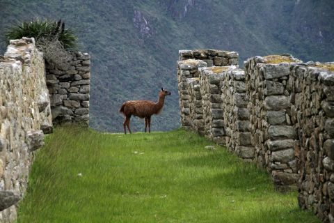 Salkantay: All-Inclusive 5-Day Machu Picchu Trek