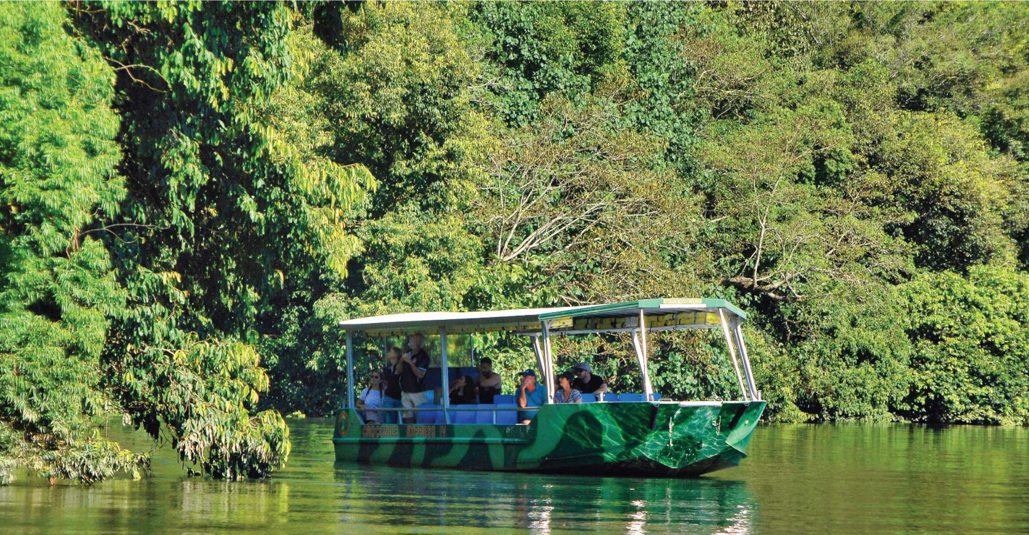 Daintree Rainforest, Crocodile & Wildlife River Cruises - Housity