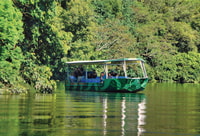 Daintree Rainforest, Crocodile & Wildlife River Cruises - Housity