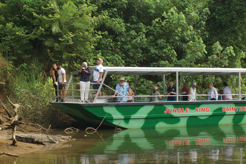 Daintree: Rejs po rzece Rainforest z krokodylami i dziką przyrodą