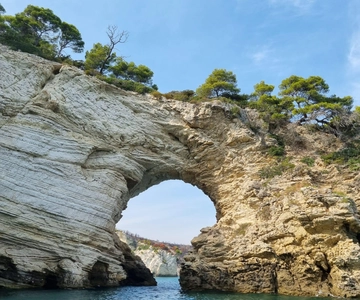 Vieste: South coast boat excursion with swim stop