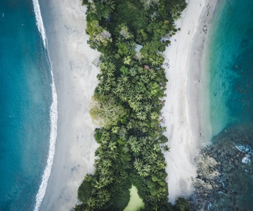 From San José: Full day Manuel Antonio National Park