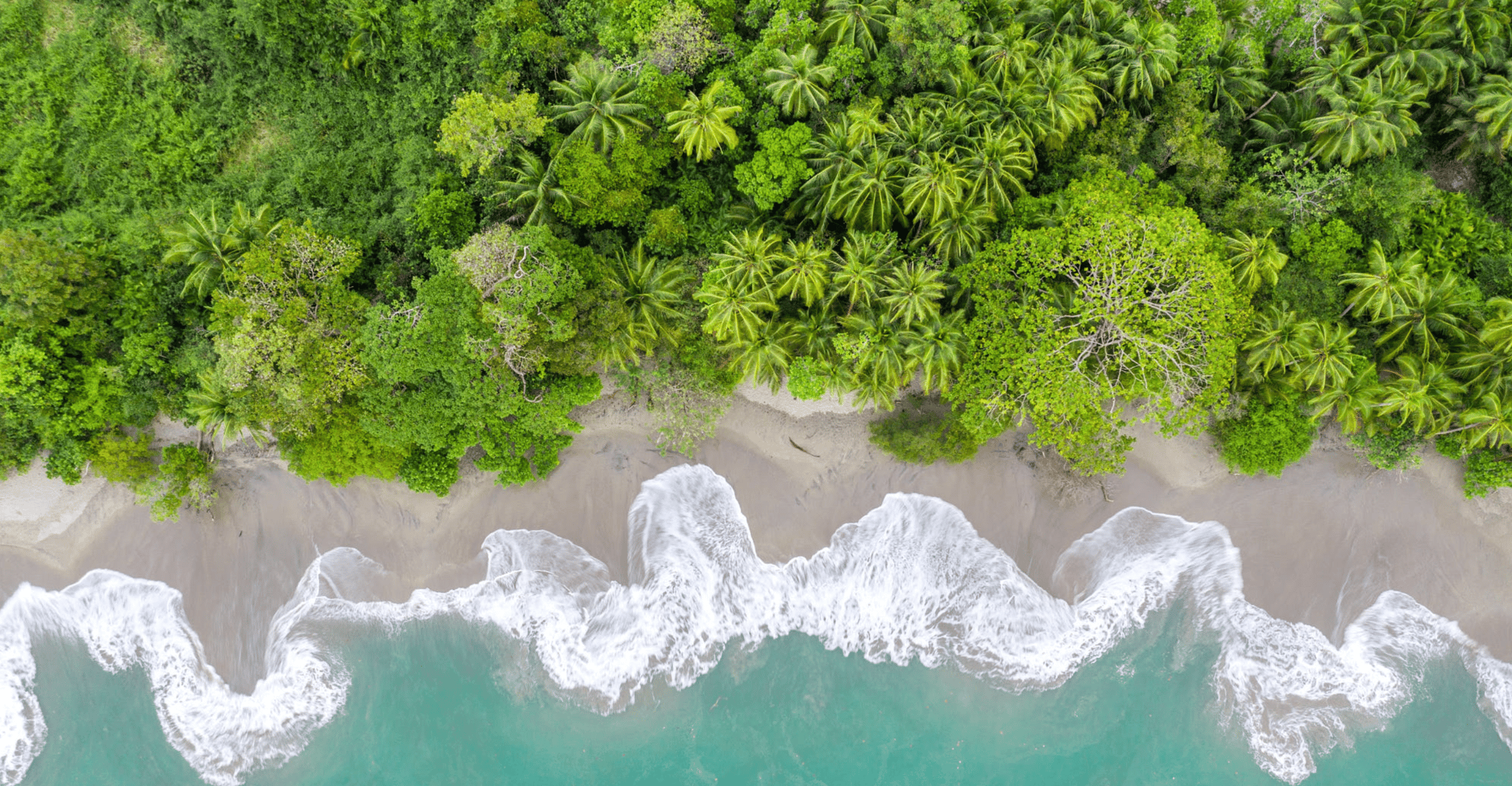 San José, Manuel Antonio National Park Tagesausflug - Hizvo
