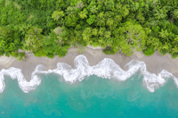 San José, Manuel Antonio National Park Day Trip - Hizvo