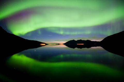 Tromsø: Inseguimento dell&#039;aurora boreale con garanzia di seconda chance