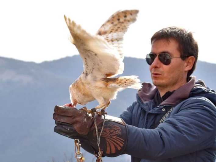 Lleida: Private Owl Handling Experience