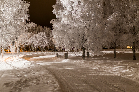 Rovaniemi : Circuit de karting sur glace arctique