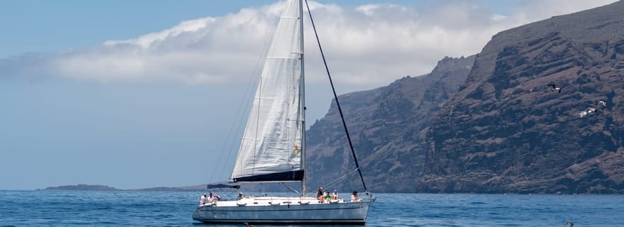 Los Gigantes : Excursion en bateau avec baignade, boissons et tapas