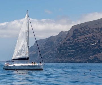 Los Gigantes: Sailing Excursion with Swimming, Drink & Tapas