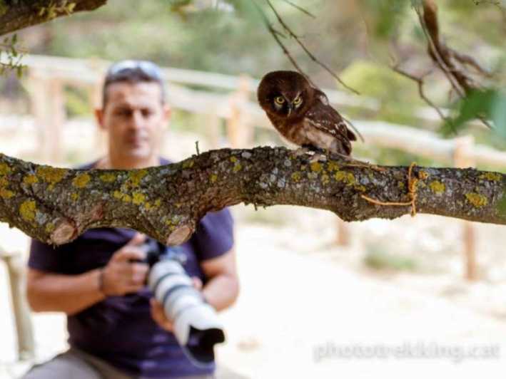 Lleida: Private Wildlife Photography Session