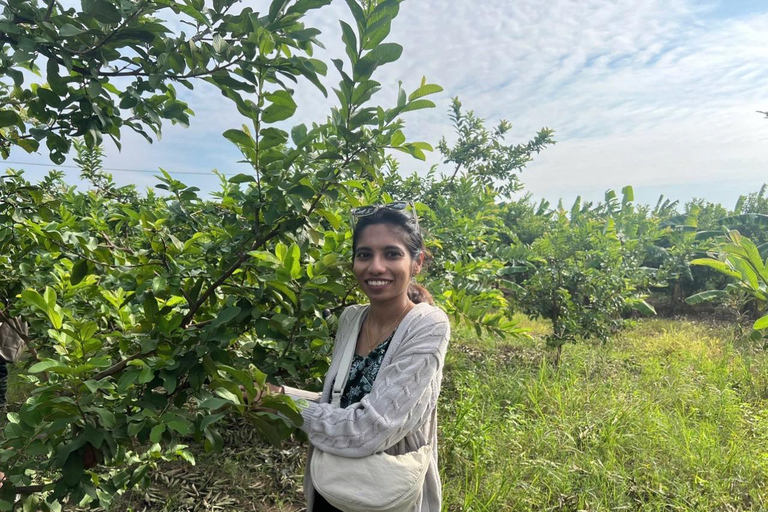 Hanoi Countryside Jeep Experience Hanoi: Countryside & Co Loa Citadel by Jeep