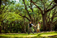 Avery Island, fábrica TABASCO® y entrada a jardines - Hizvo